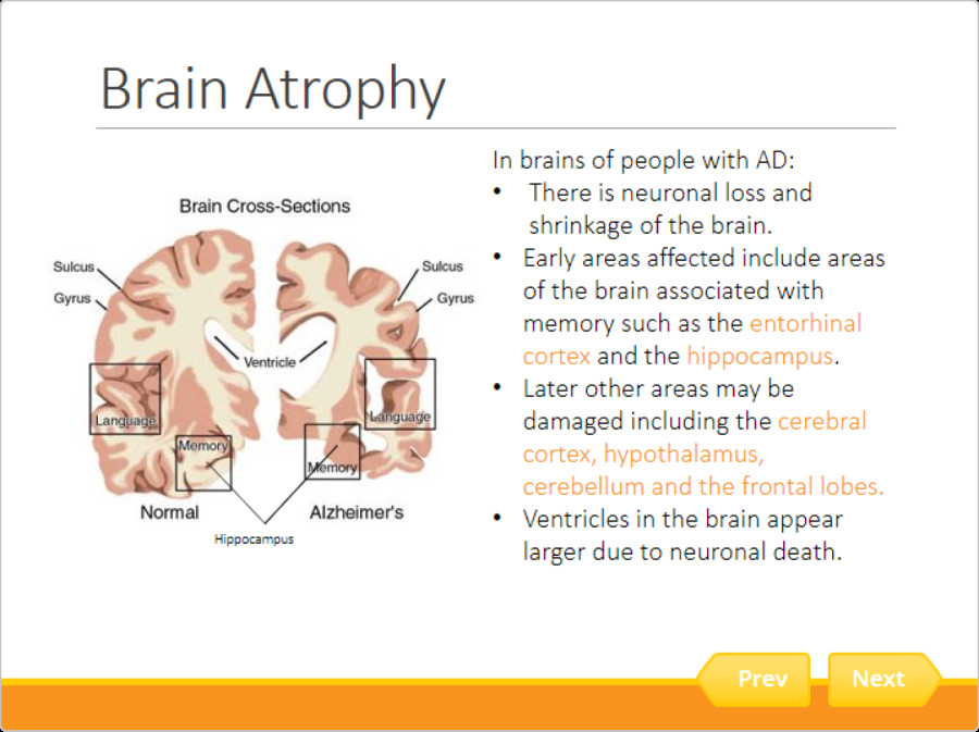 1565320341.jpg 21ispring-blog-image-1564730986_副本.jpg