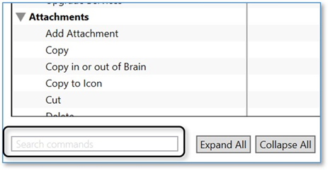 思维导图TheBrain基础实操教程——设置喜好快捷键设置 思维导图TheBrain基础实操教程——设置喜好快捷键设置