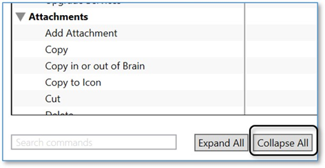 思维导图TheBrain基础实操教程——设置喜好快捷键设置 思维导图TheBrain基础实操教程——设置喜好快捷键设置