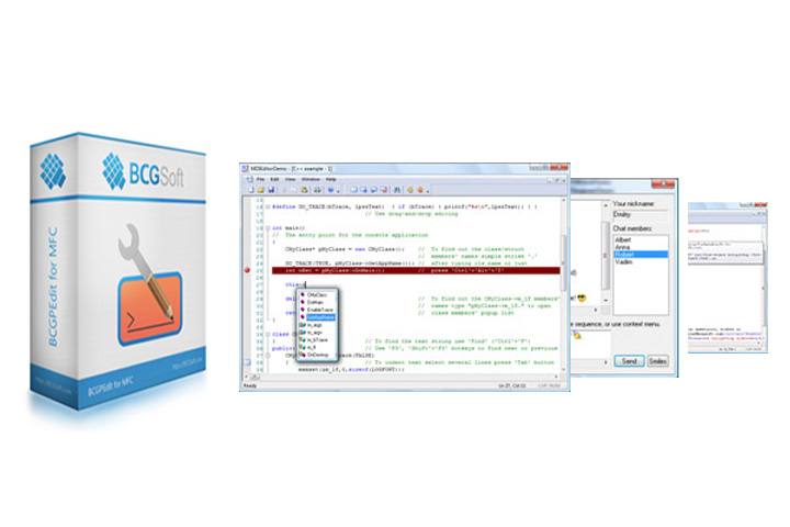 BCGSoft Professional Editor BCGSoft Professional Editor