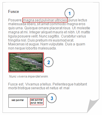 选择内容文本 选择内容文本