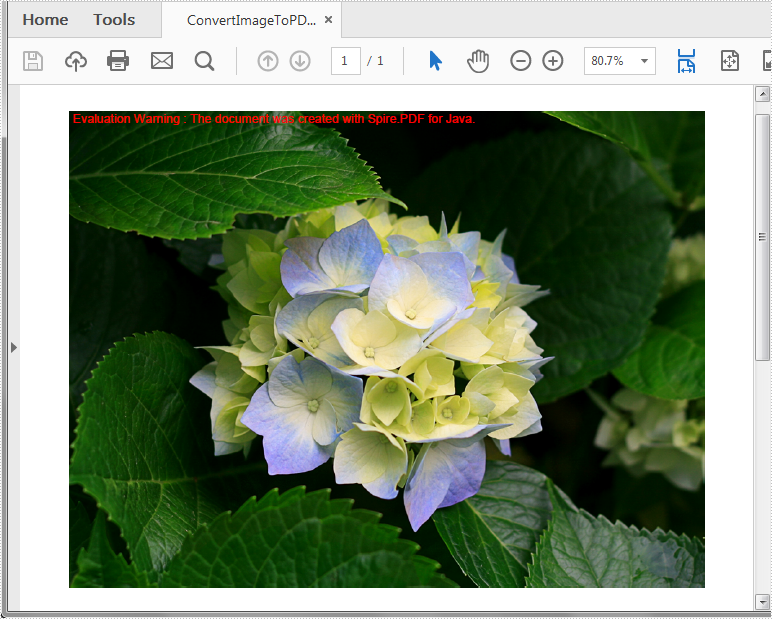 如何用Java语言将图像转换为PDF?Spire.PDF for Java轻松搞定! 如何用Java语言将图像转换为PDF?Spire.PDF for Java轻松搞定!