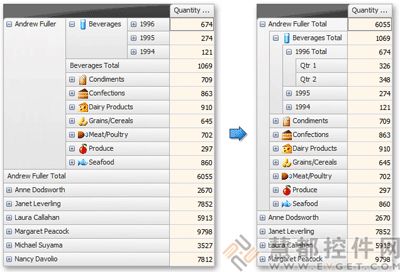 ASPxPivotGrid for ASP.NET 2010v1