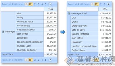 ASPxPivotGrid for ASP.NET 2010v1